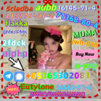 Stavače, NEMECKÝ DLHOSRSTÝ STAVAČ