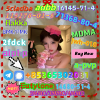 Špice a primitívne typy, FARAÓNSKY PES