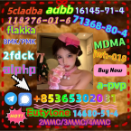 Špice a primitívne typy, FARAÓNSKY PES