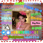 Špice a primitívne typy, FARAÓNSKY PES