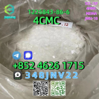 Jazvečíky, JAZVEČÍK ŠTANDARDNÝ DLHOSRSTSÝ