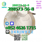 Jazvečíky, JAZVEČÍK KRÁLIČÍ HRUBOSRSTÝ