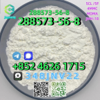 Jazvečíky, JAZVEČÍK KRÁLIČÍ HRUBOSRSTÝ