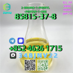 Jazvečíky, JAZVEČÍK ŠTANDARDNÝ DLHOSRSTSÝ