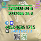 Jazvečíky, JAZVEČÍK ŠTANDARDNÝ HLADKOSRSTÝ