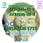 Jazvečíky, JAZVEČÍK ŠTANDARDNÝ HLADKOSRSTÝ