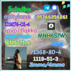 Pinče, bradáče, molosoidy a švajčiarske salašnícke psy, ČIERNY RUSKÝ TERIÉR