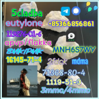 Pinče, bradáče, molosoidy a švajčiarske salašnícke psy, ČIERNY RUSKÝ TERIÉR