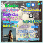 Pinče, bradáče, molosoidy a švajčiarske salašnícke psy, ČIERNY RUSKÝ TERIÉR