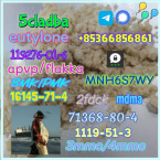 Špice a primitívne typy, KANÁRSKÝ CHRT - PODENCO