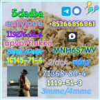 Špice a primitívne typy, KANÁRSKÝ CHRT - PODENCO