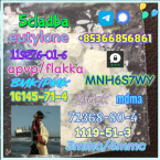 Pinče, bradáče, molosoidy a švajčiarske salašnícke psy, ANATOLSKÝ PASTIERSKY PES