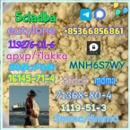 Pinče, bradáče, molosoidy a švajčiarske salašnícke psy, ANATOLSKÝ PASTIERSKY PES