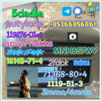 Pinče, bradáče, molosoidy a švajčiarske salašnícke psy, BRADÁČ VEĽKÝ