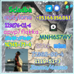 Špice a primitívne typy, ČAU ČAU