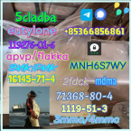 Špice a primitívne typy, KANÁRSKÝ CHRT - PODENCO