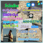 Špice a primitívne typy, FÍNSKY ŠPIC