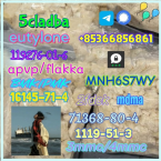 Špice a primitívne typy, FÍNSKY ŠPIC