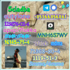 Špice a primitívne typy, FÍNSKY ŠPIC