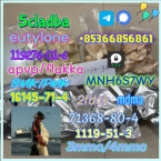 Duriče, farbiare a príbuzné plemená, BLOODHOUND