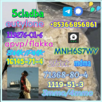 Duriče, farbiare a príbuzné plemená, BLOODHOUND