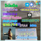 Duriče, farbiare a príbuzné plemená, BLOODHOUND