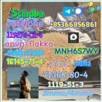 Spoločenské a sprievodné psy, LEVÍČEK