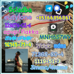 Spoločenské a sprievodné psy, LEVÍČEK