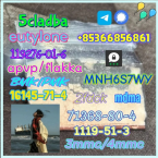 Spoločenské a sprievodné psy, LEVÍČEK