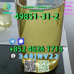 Chrty, ŠKÓTSKY JELENÍ PES