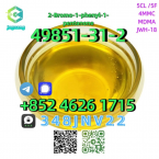 Chrty, ŠKÓTSKY JELENÍ PES