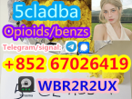 , 5CL-ADB-A 5CLADBA 5F-ADB High quality 5FADB 5CLADBA