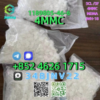 Teriéry, AUSTRÁLSKY TERIÉR