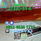 Teriéry, JACK RUSSELL TERIÉR