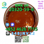 Teriéry, JACK RUSSELL TERIÉR