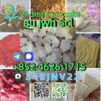 Špice a primitívne typy, KARELSKÝ MEDVEDÍ PES