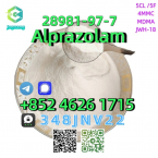 Jazvečíky, JAZVEČÍK TRPASLIČÍ DLHOSRTSTÝ