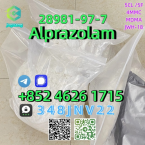 Jazvečíky, JAZVEČÍK TRPASLIČÍ DLHOSRTSTÝ