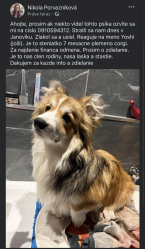 , Prosim o pomoc pri hladani Yoshiho