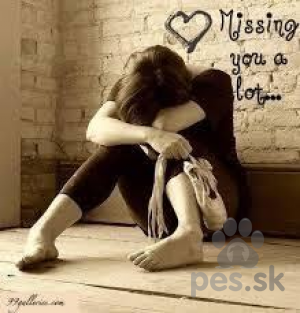 181/3/63d3c5daea4b493a7bd190b707327bd4.jpg