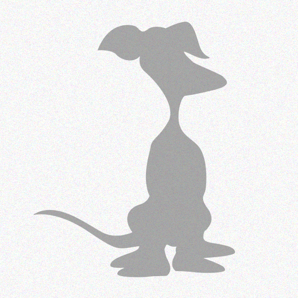 Pinče, bradáče, molosoidy a švajčiarske salašnícke psy, Bernský salašnícky pes